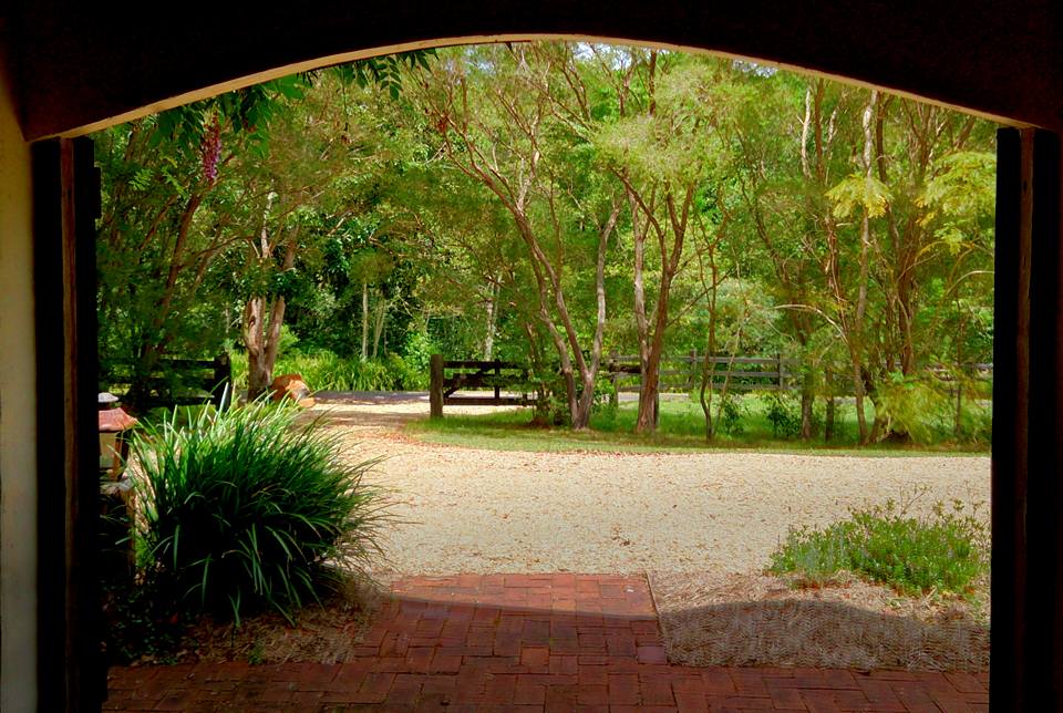 looking-out-through-the-barn-doors